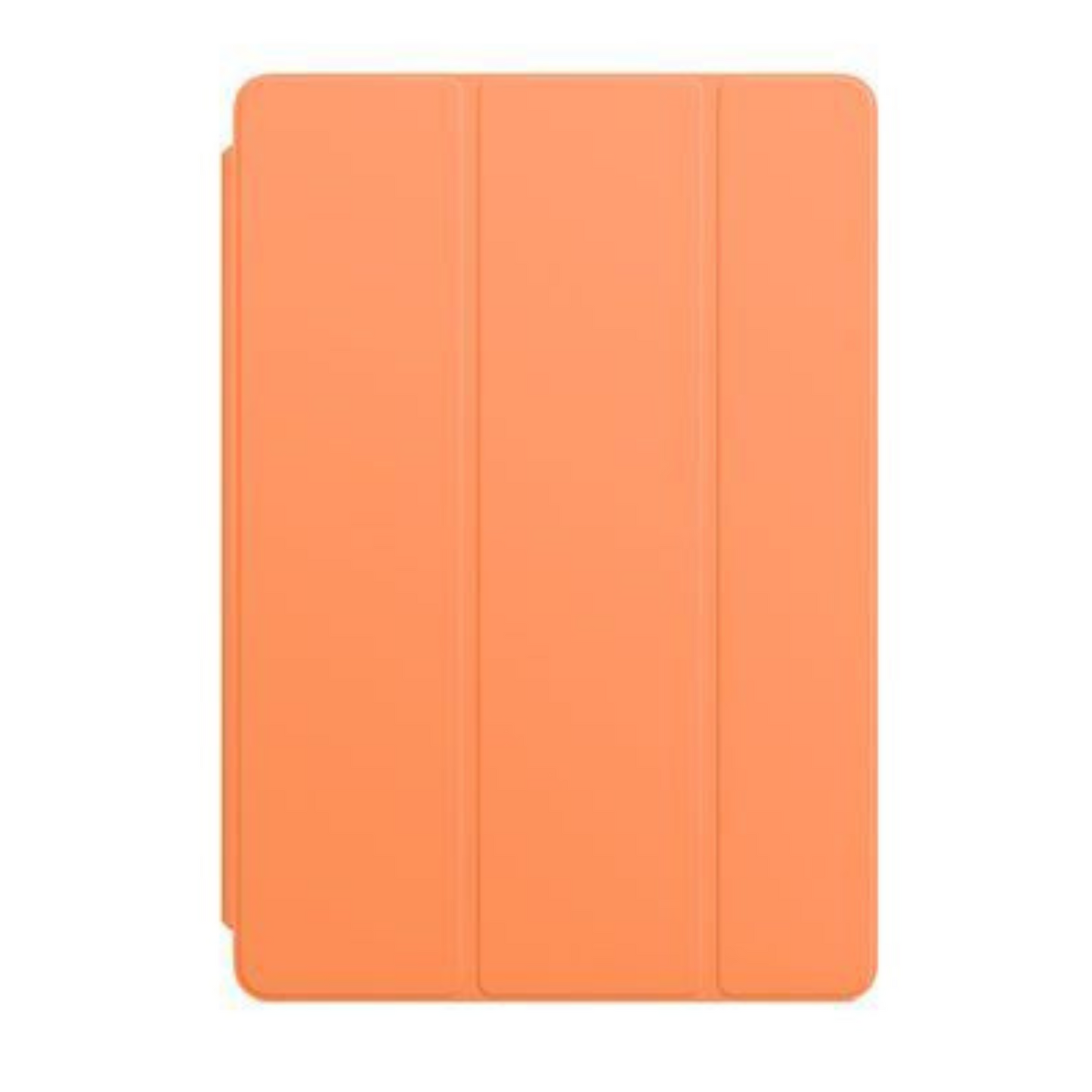 iPad 10.2 Smart Case – 9th/8th/7th Gen